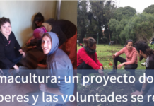 Permacultura: un proyecto donde los saberes y las voluntades se reúnen