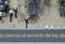 Beeflow: la ciencia al servicio de las abejas