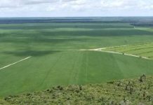 Imagen aérea del Amazonas con superficies con selva y otras con cultivos. Abajo a la izquierda logo del CONICET Mar del Plata