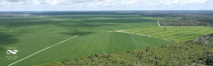 Imagen aérea del Amazonas con superficies con selva y otras con cultivos. Abajo a la izquierda logo del CONICET Mar del Plata
